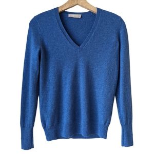 Everlane Blue V-Neck Sweater